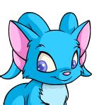 neopets concert hall|Explore Neopia .